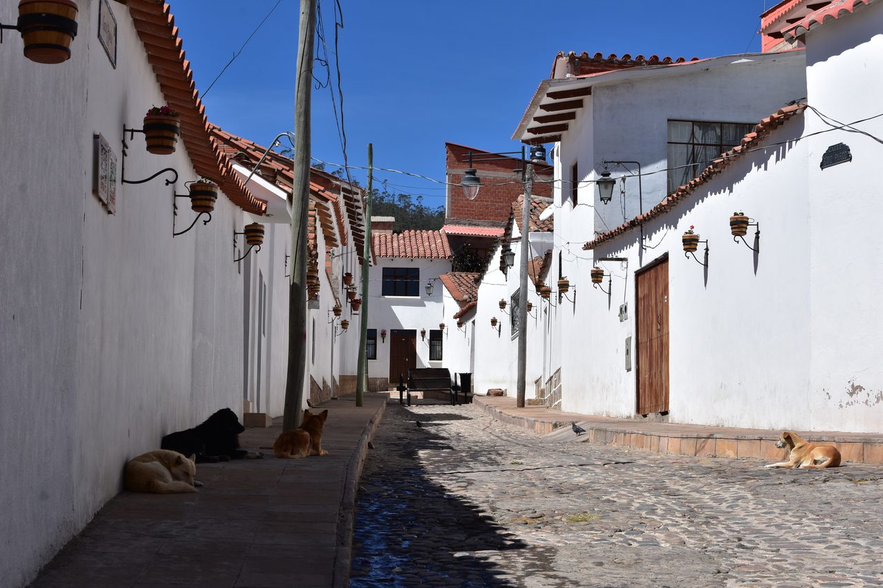 Sucre