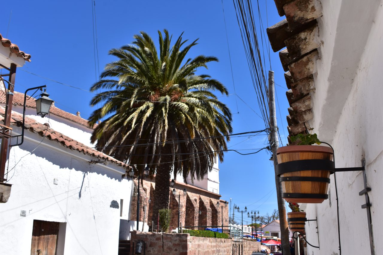 Sucre