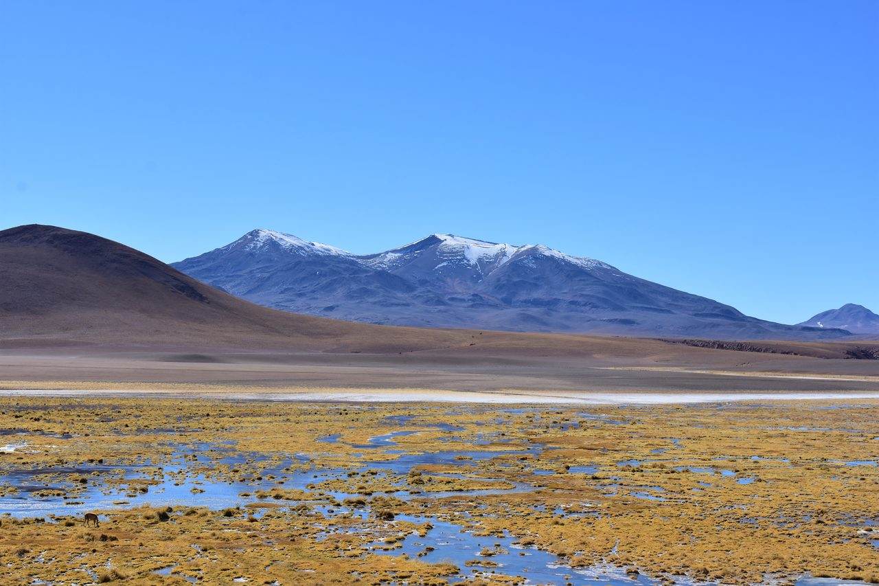 San Pedro de Atacama