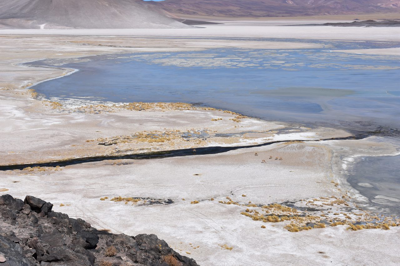 San Pedro de Atacama