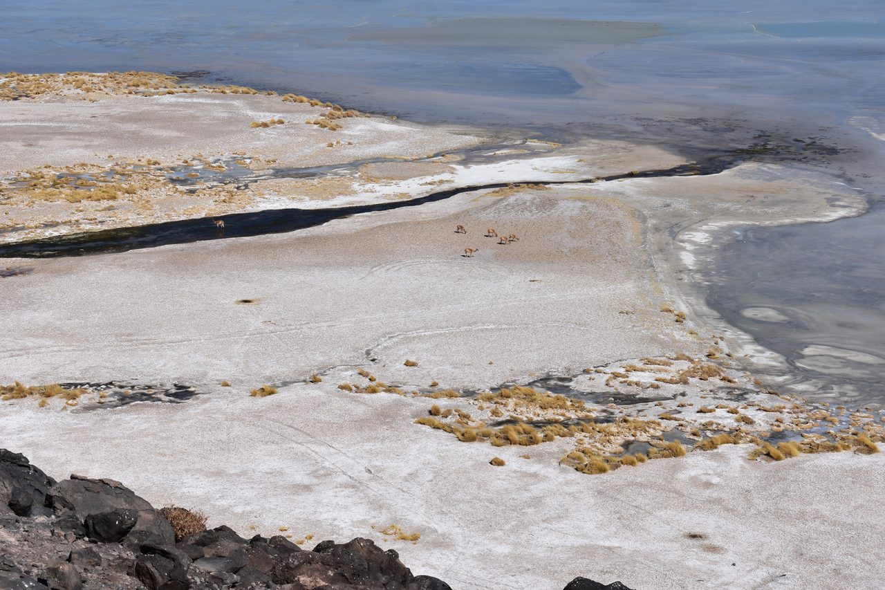 San Pedro de Atacama
