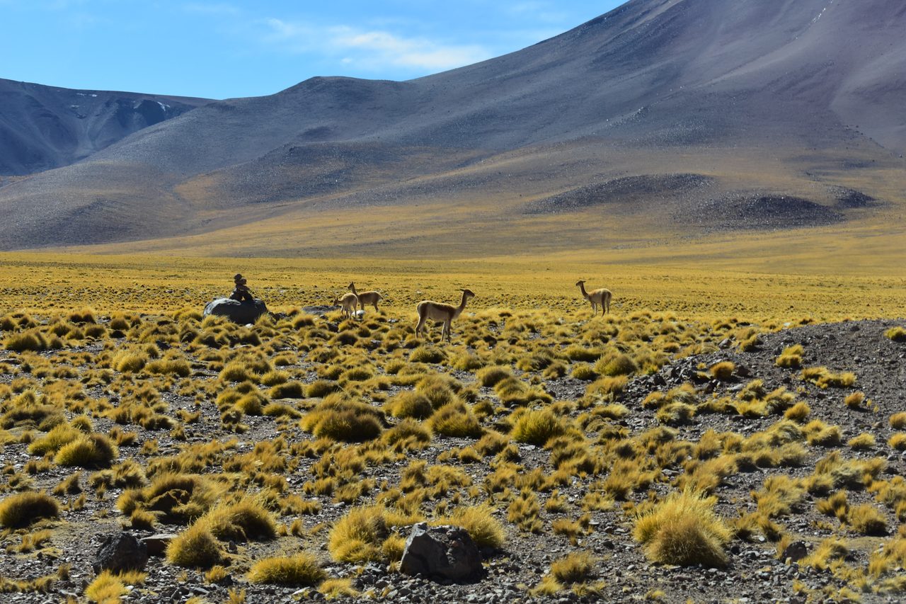 San Pedro de Atacama