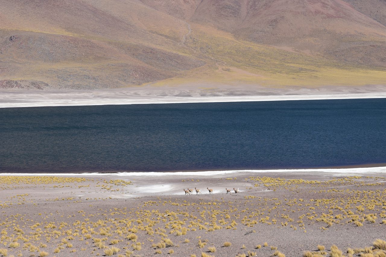 San Pedro de Atacama