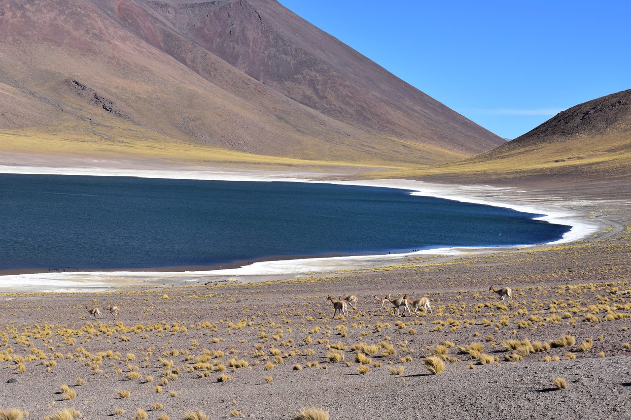 San Pedro de Atacama