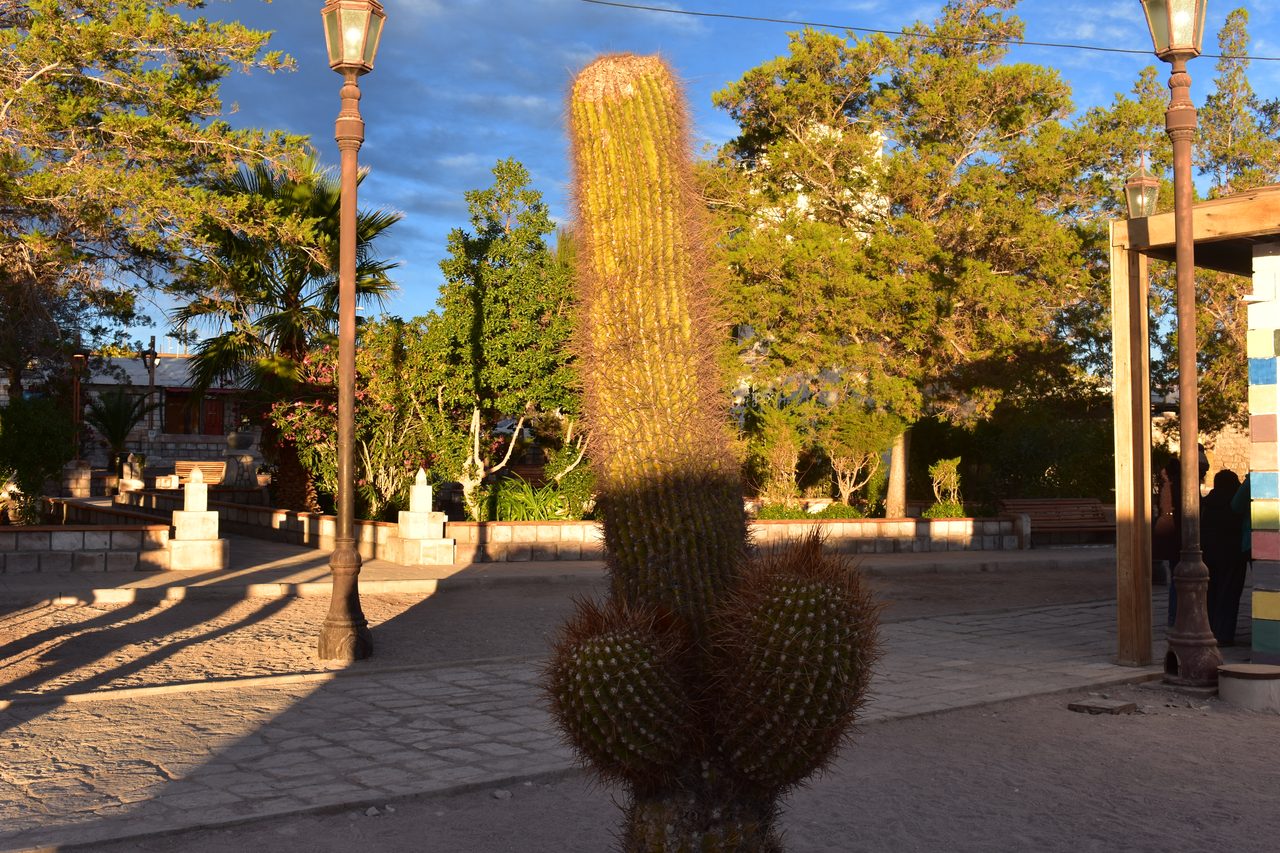 San Pedro de Atacama