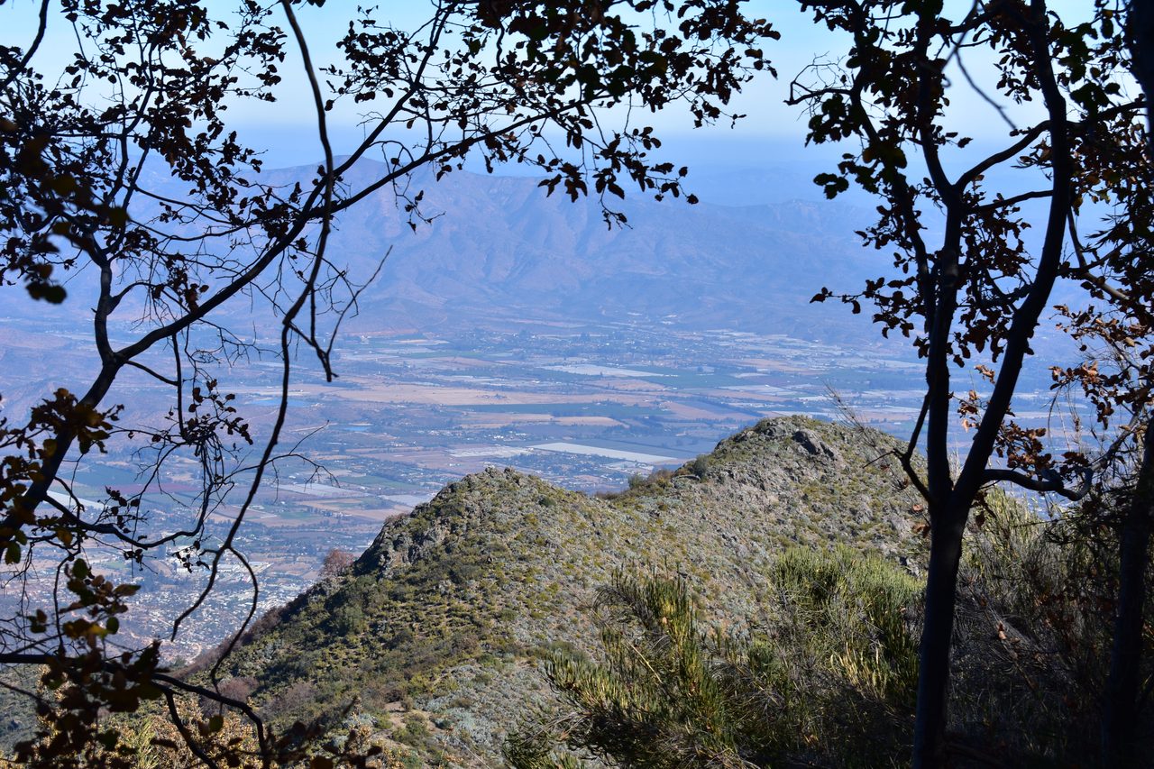 Cerró Campana