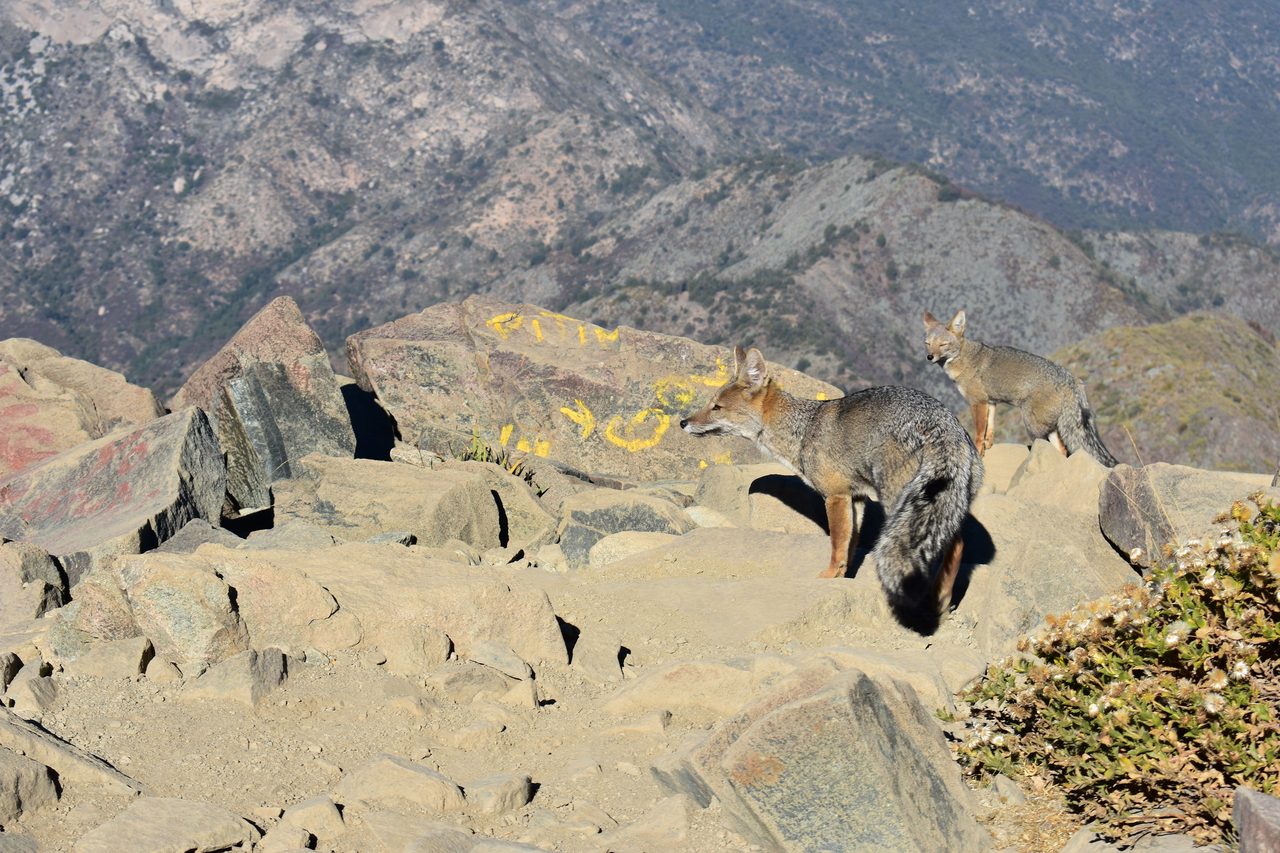 Cerró Campana