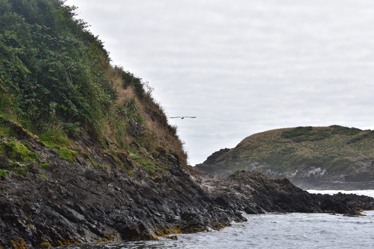 Chiloé – Ancud, Pingüinos de Puñihuil, Castro, Achao, Dalcahue and Cucao (Muelle de las Almas)