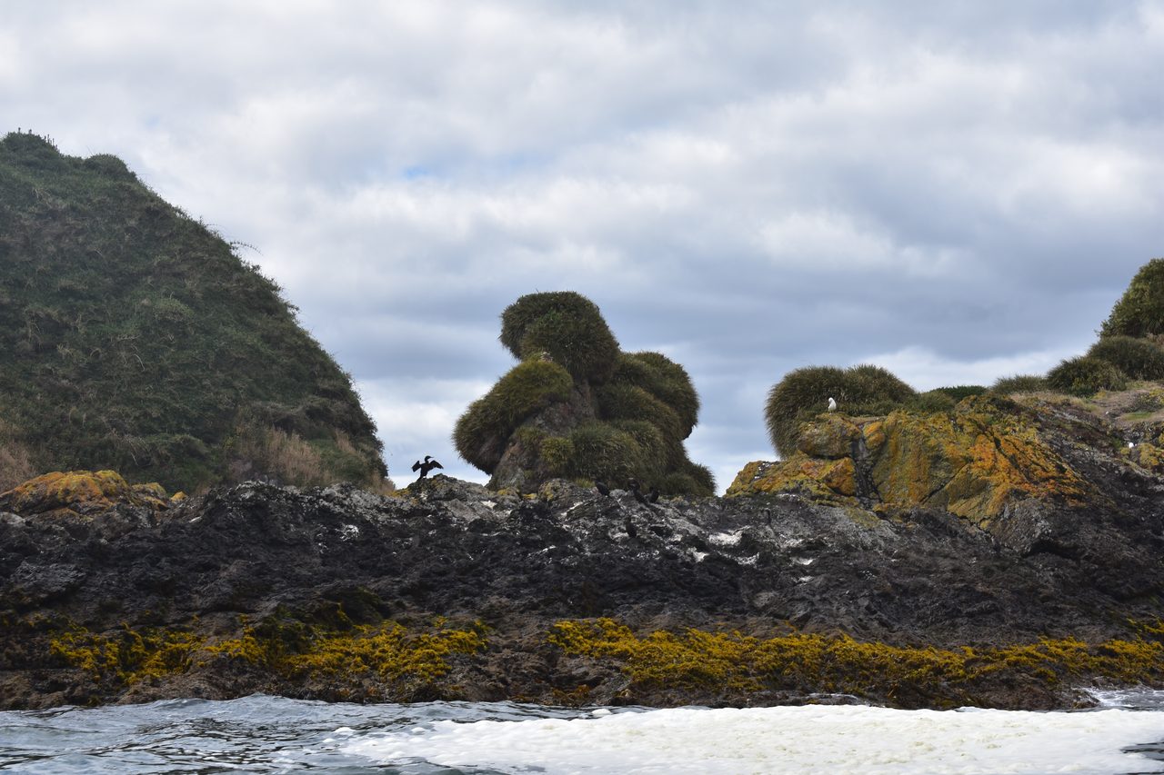 Chiloé – Ancud, Pingüinos de Puñihuil, Castro, Achao, Dalcahue and Cucao (Muelle de las Almas)
