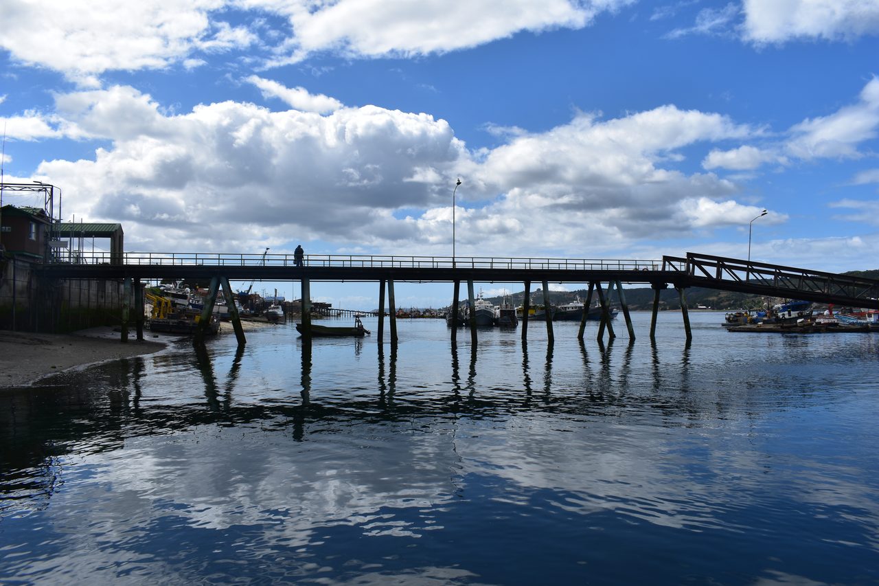 Chiloé – Ancud, Pingüinos de Puñihuil, Castro, Achao, Dalcahue and Cucao (Muelle de las Almas)