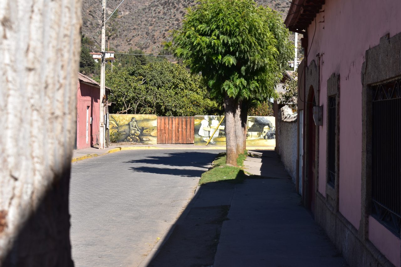 La Serena and Elqui Valley
