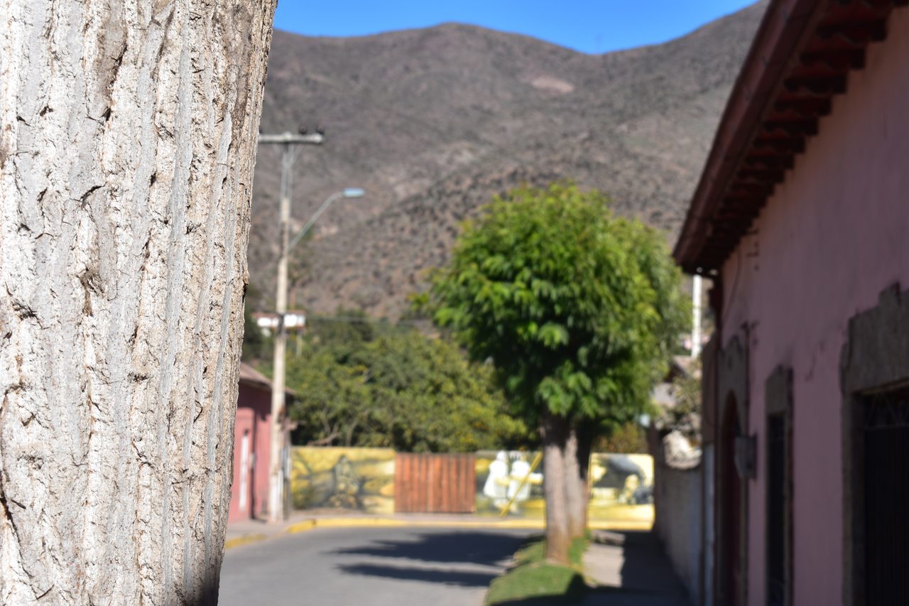 La Serena and Elqui Valley