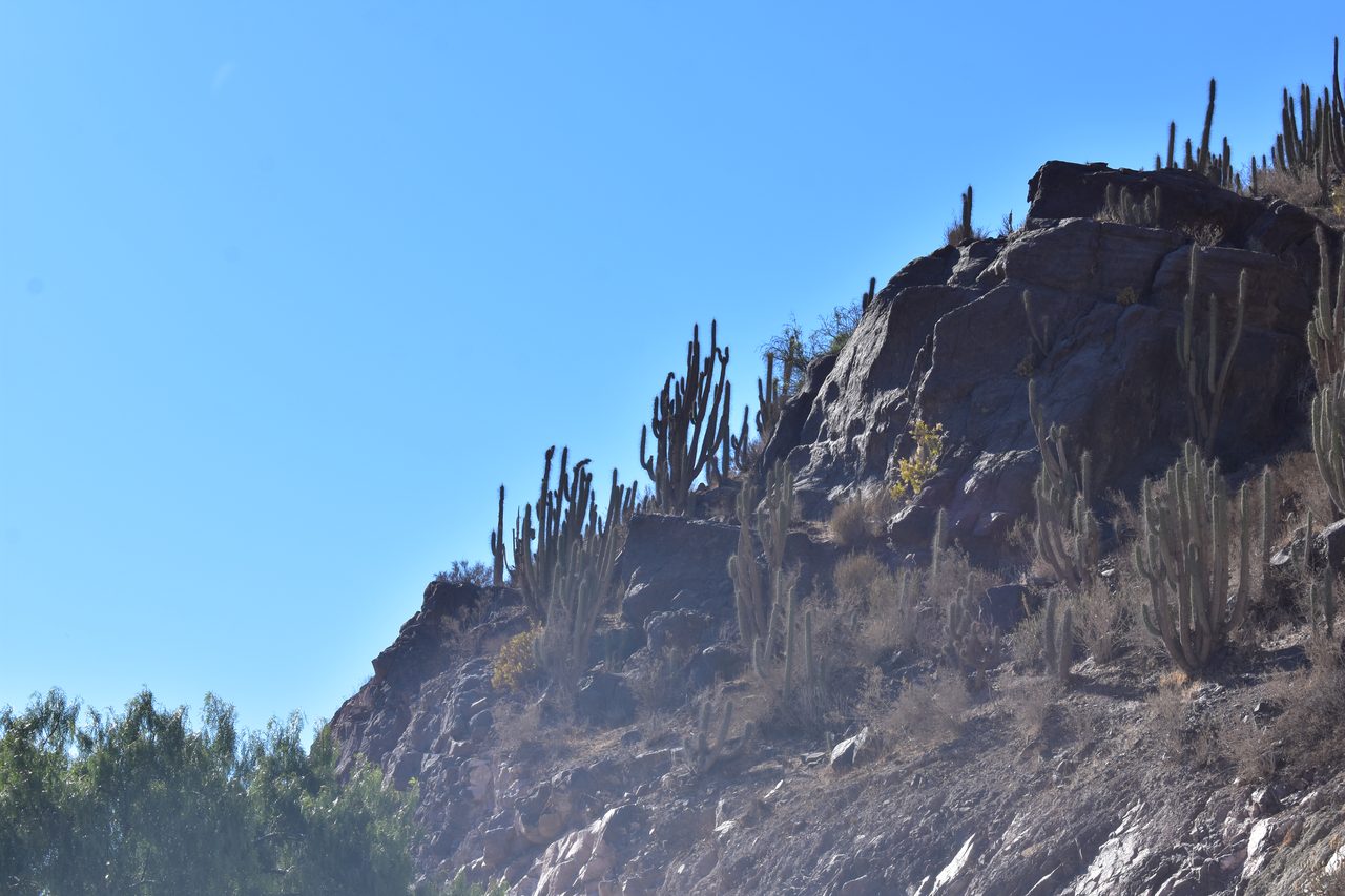 La Serena and Elqui Valley