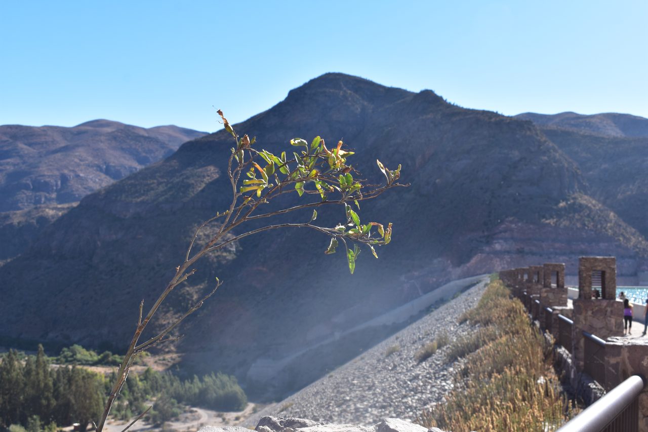 La Serena and Elqui Valley