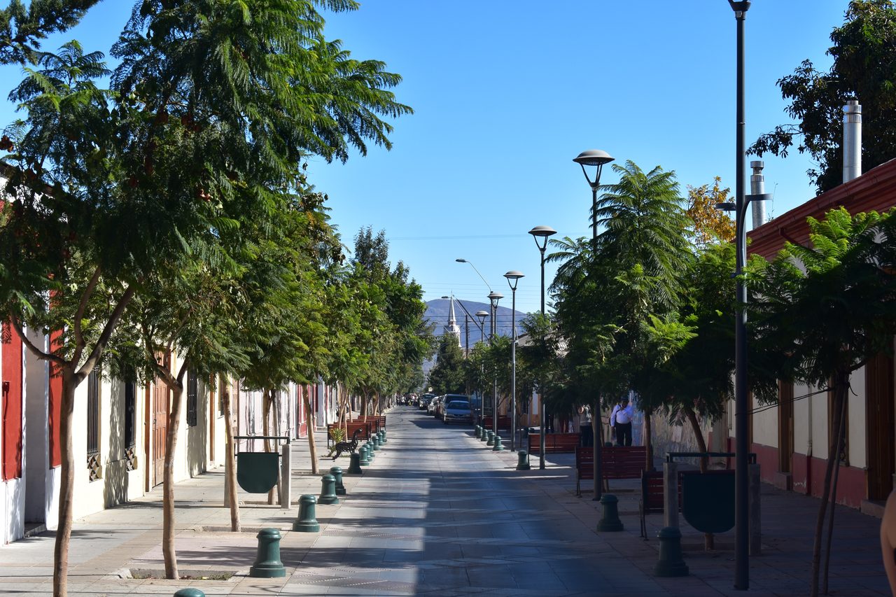 La Serena and Elqui Valley
