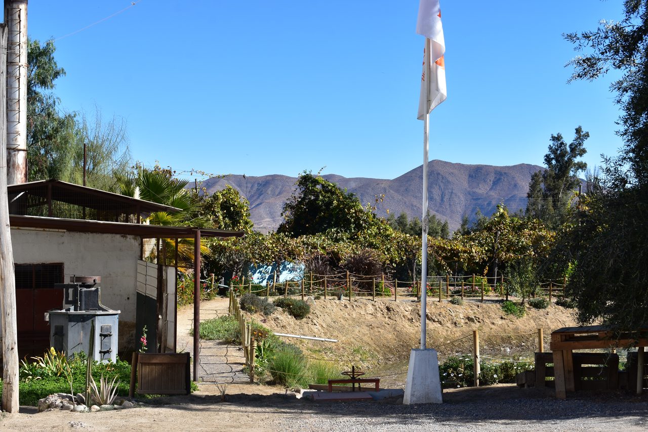La Serena and Elqui Valley