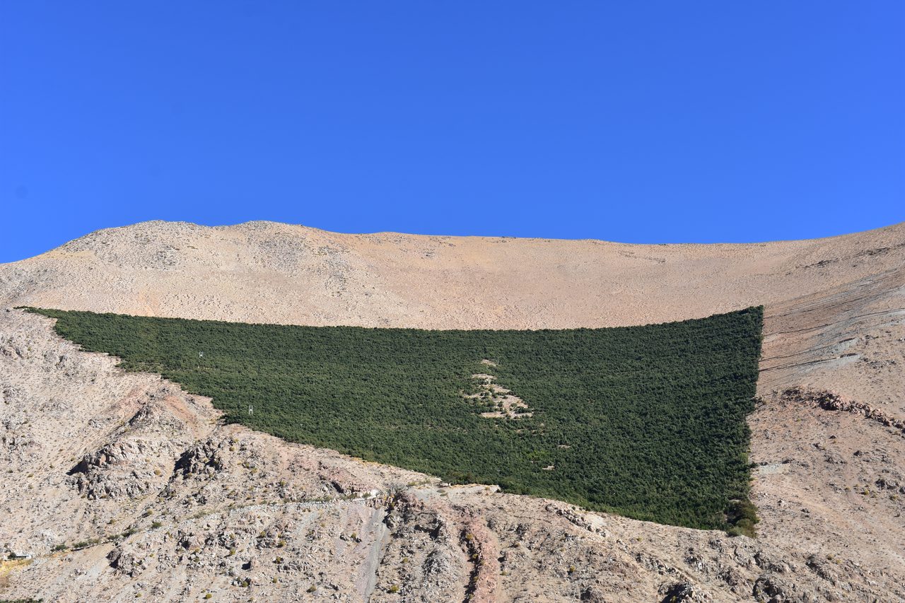 La Serena and Elqui Valley