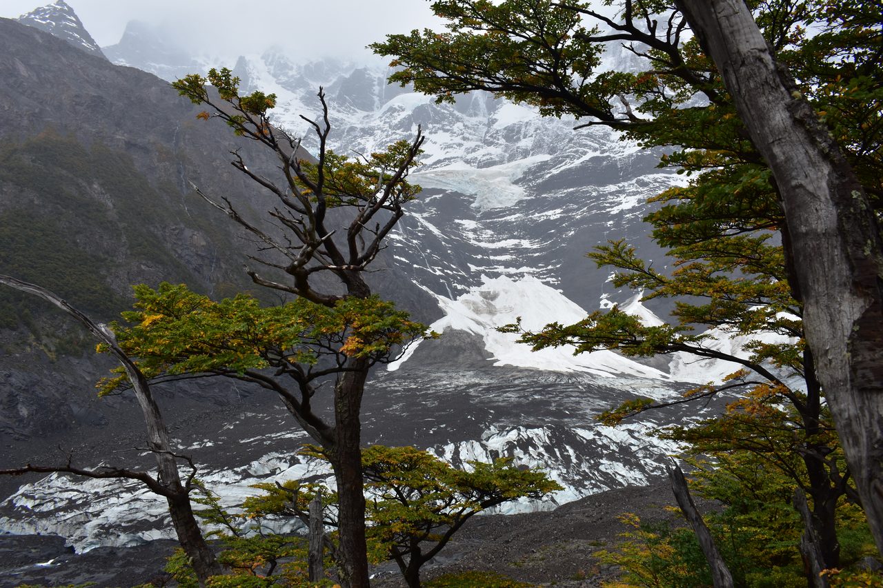 Torres del Paine and prepping in Puerto Natales