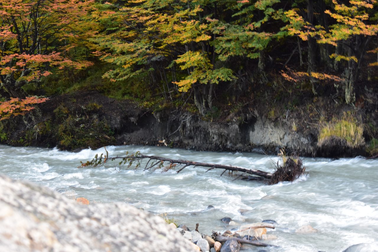 Torres del Paine and prepping in Puerto Natales
