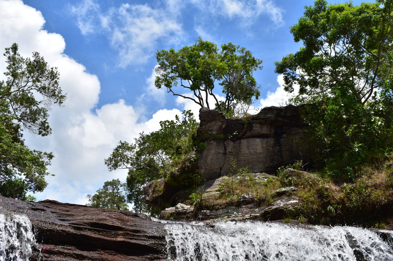 Caño Cristales