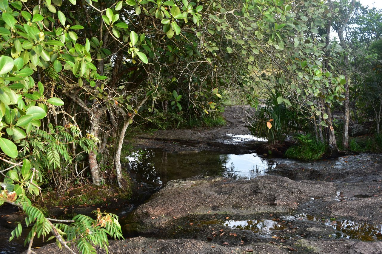 Caño Cristales
