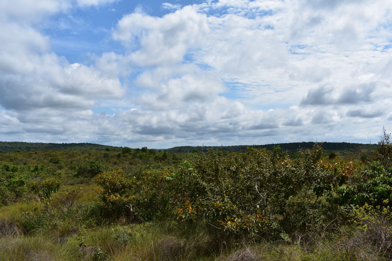 Caño Cristales