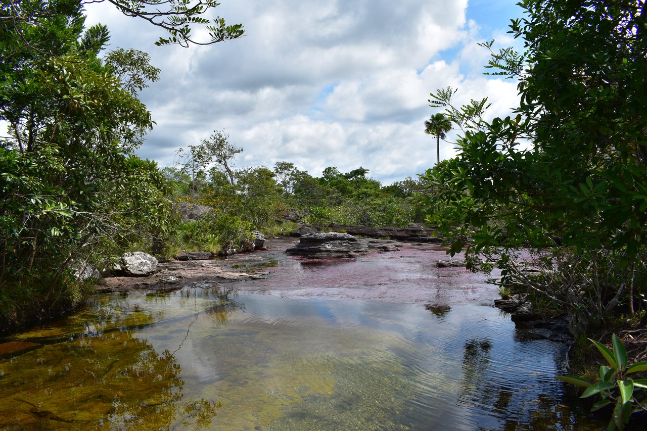 Caño Cristales