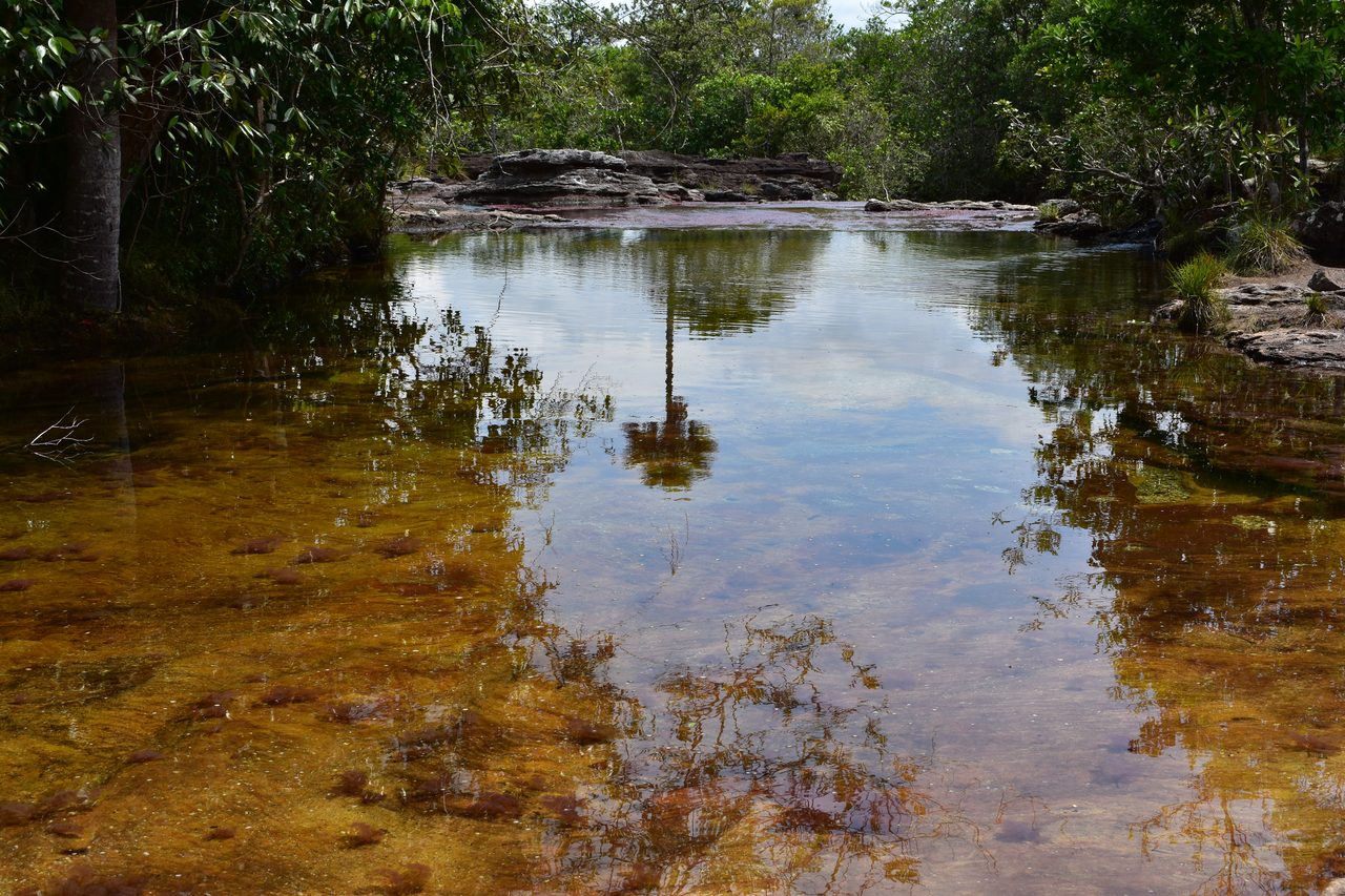 Caño Cristales