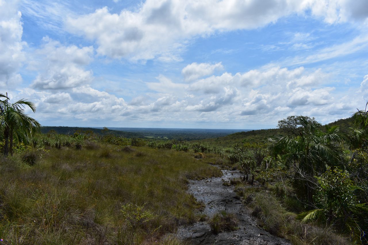 Caño Cristales