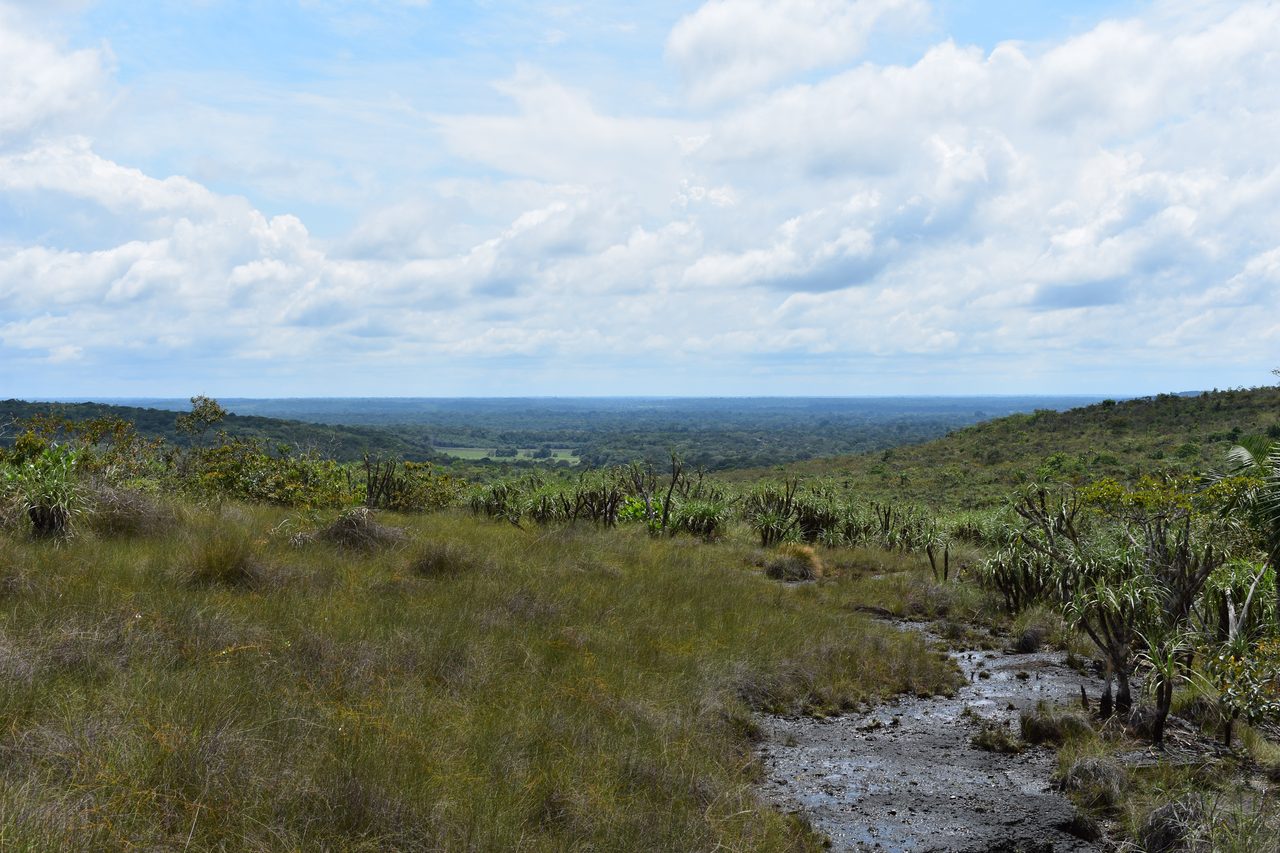 Caño Cristales