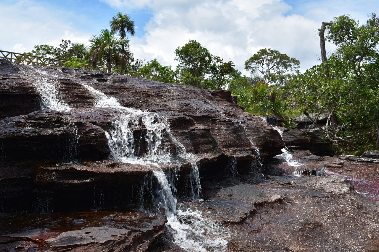 Caño Cristales