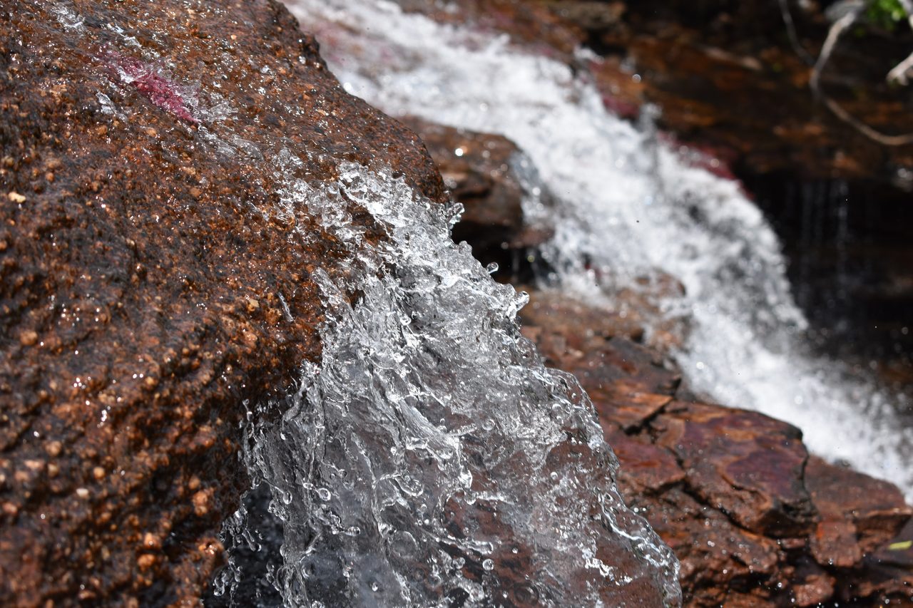 Caño Cristales