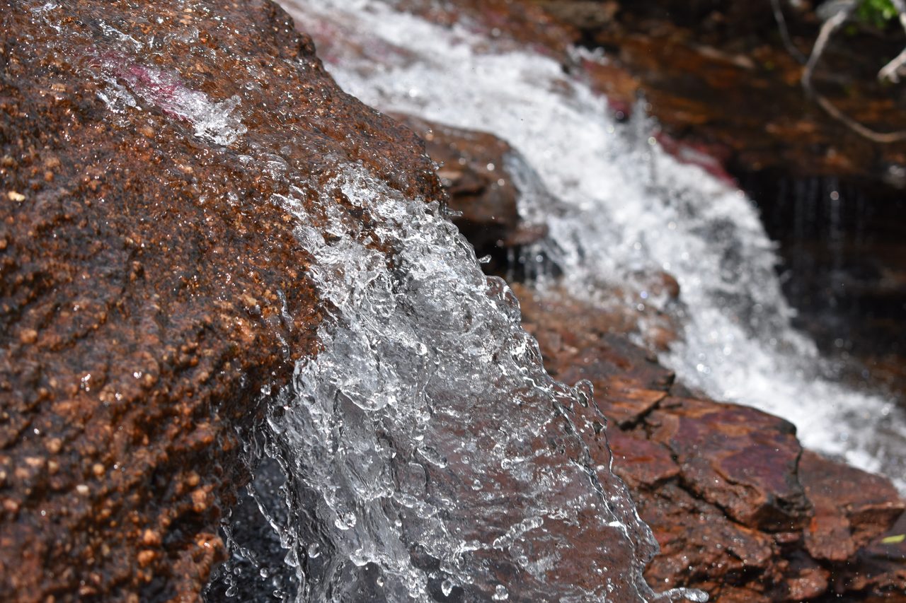 Caño Cristales
