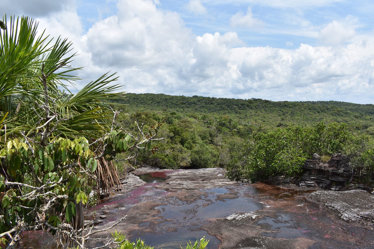 Caño Cristales