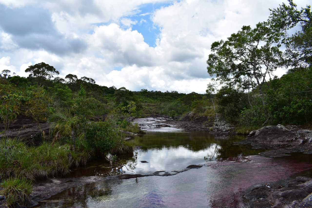 Caño Cristales
