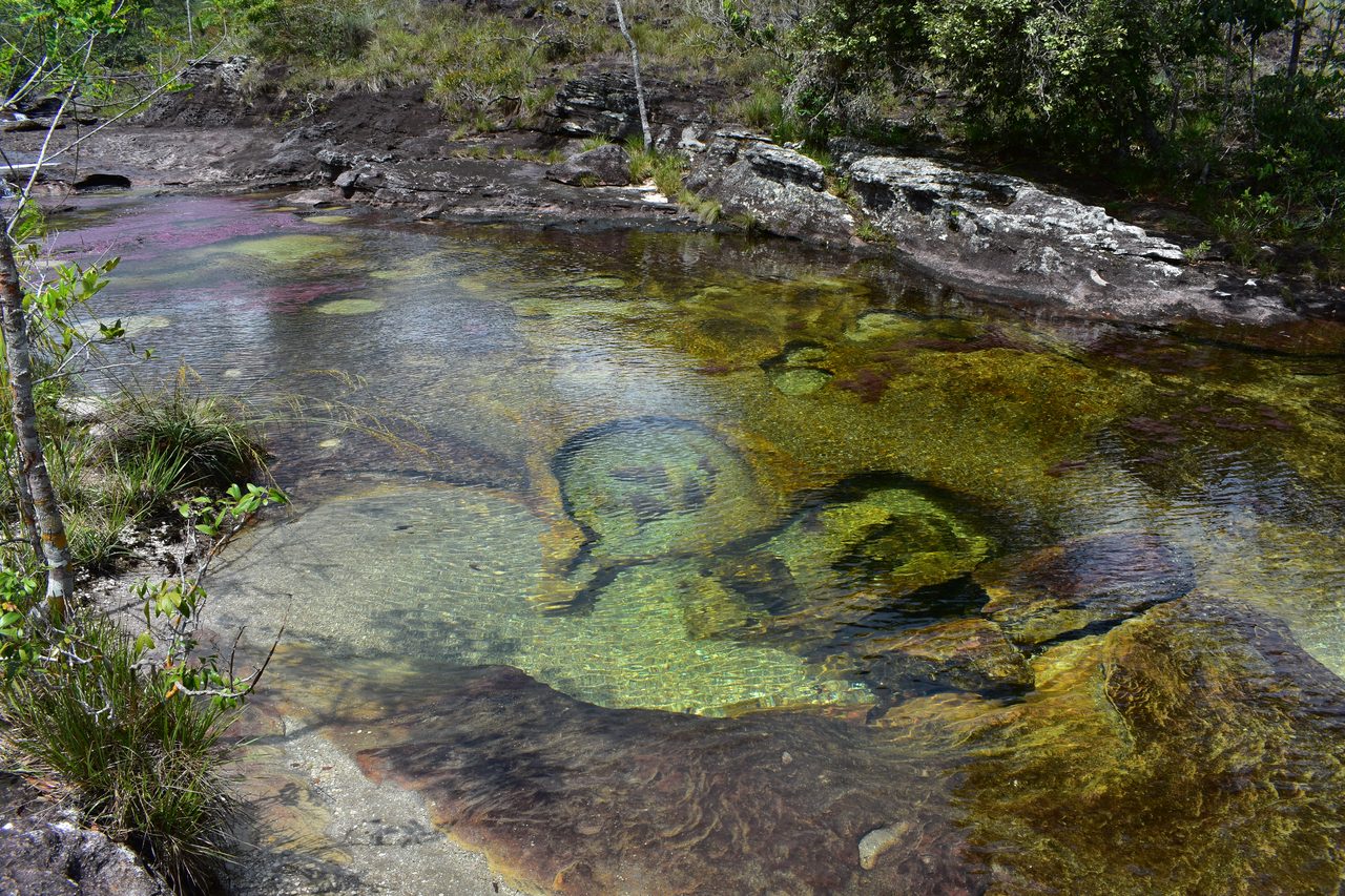Caño Cristales