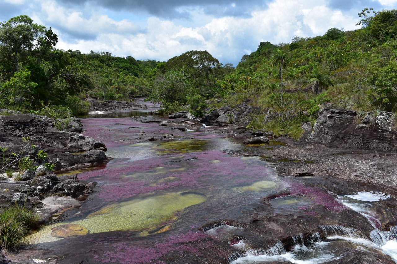 Caño Cristales