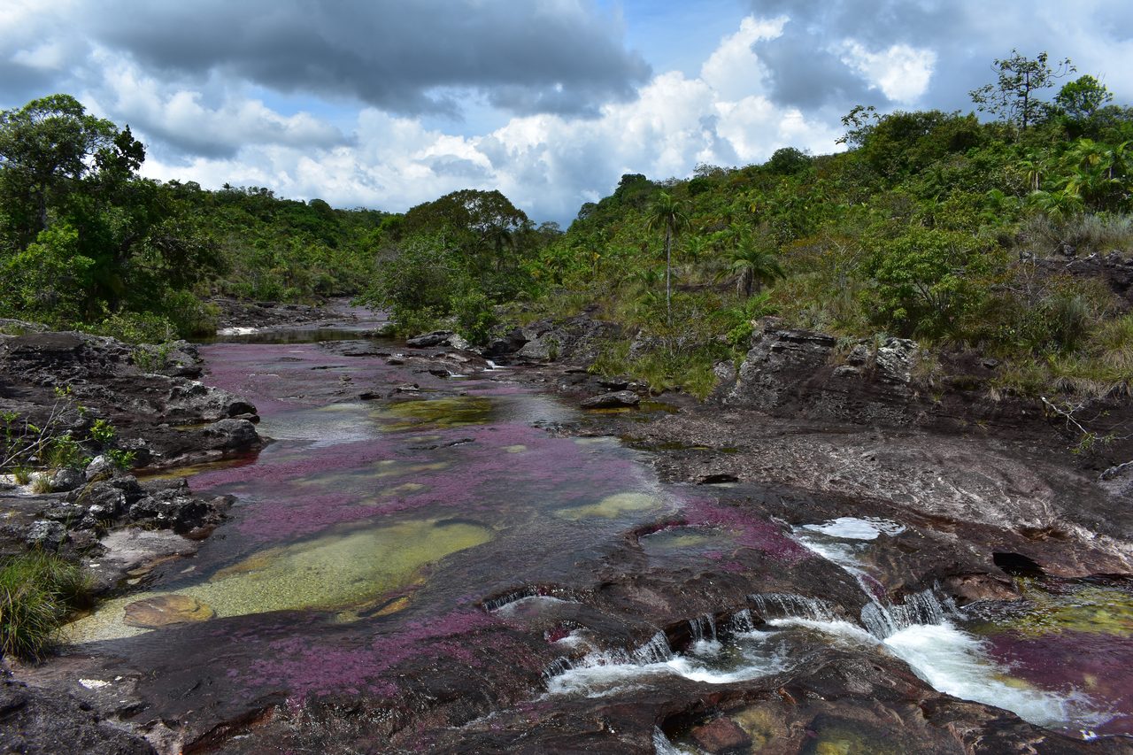 Caño Cristales