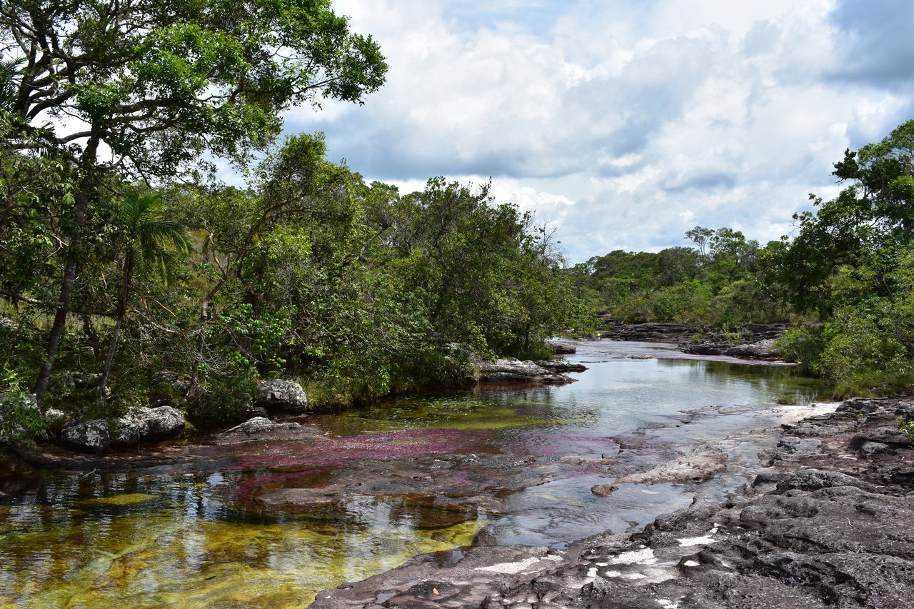 Caño Cristales