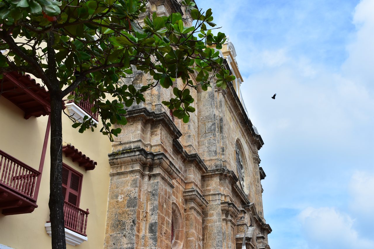 Bogotá, Palomino, Minca and Cartagena