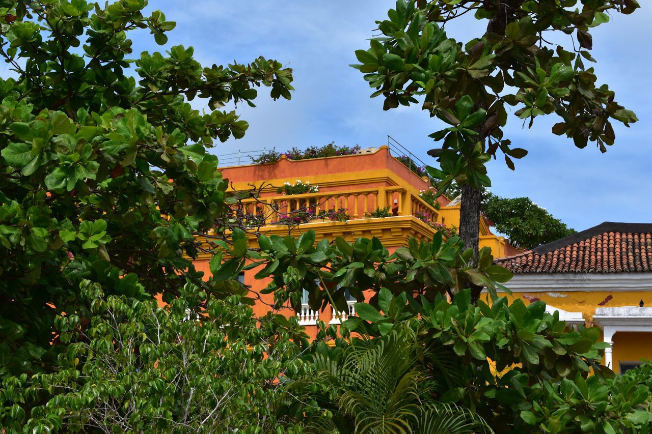 Bogotá, Palomino, Minca and Cartagena