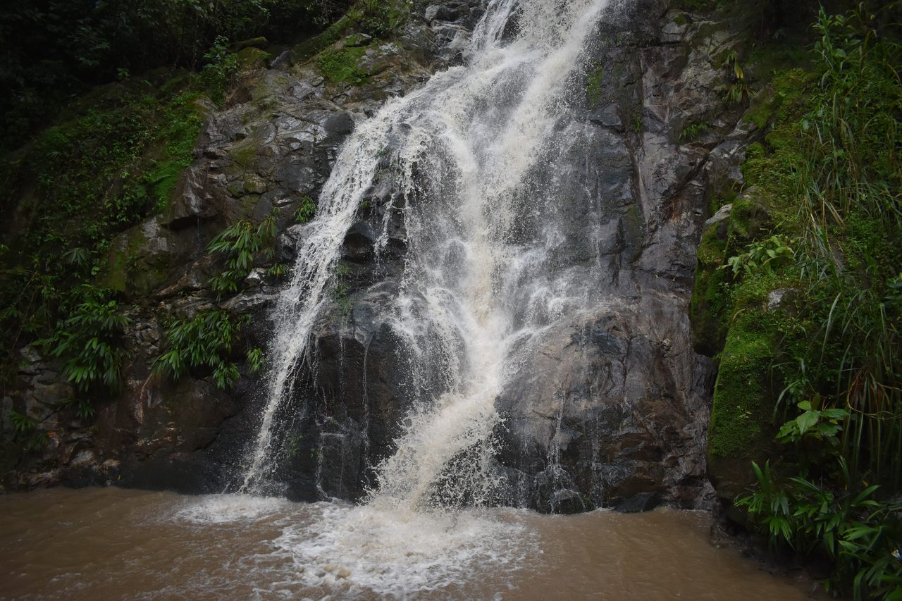 Bogotá, Palomino, Minca and Cartagena