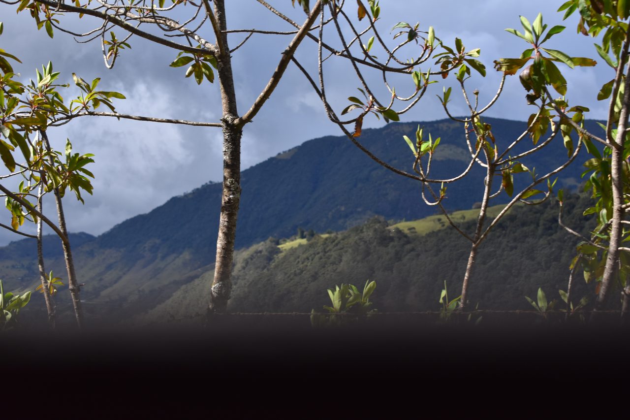 Popayán