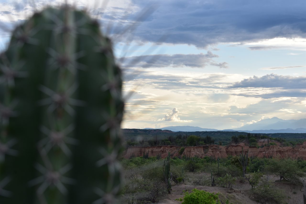 Sleeping in a Hammock in the Tatacoa Desert, Colombia