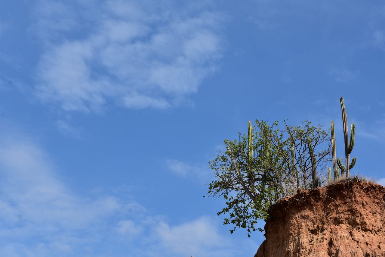 Sleeping in a Hammock in the Tatacoa Desert, Colombia
