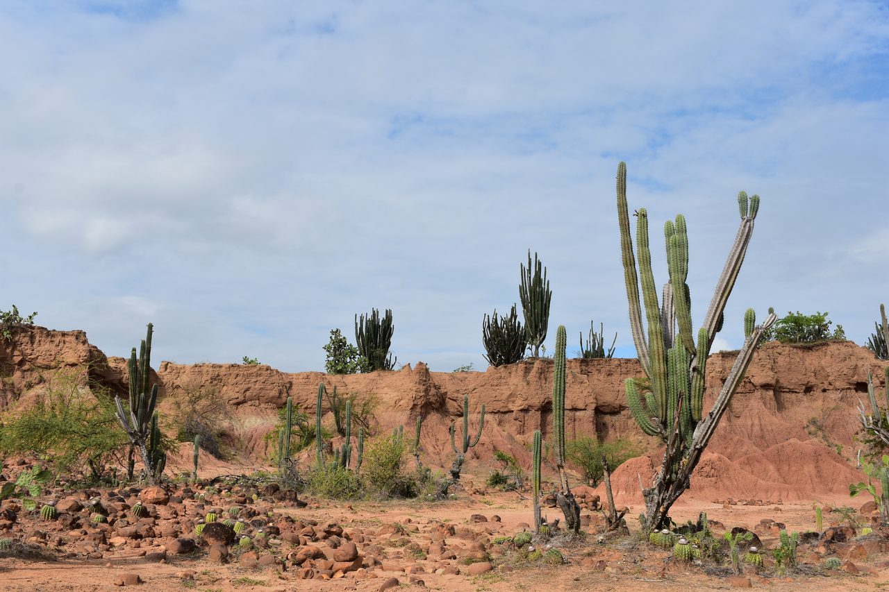 Sleeping in a Hammock in the Tatacoa Desert, Colombia