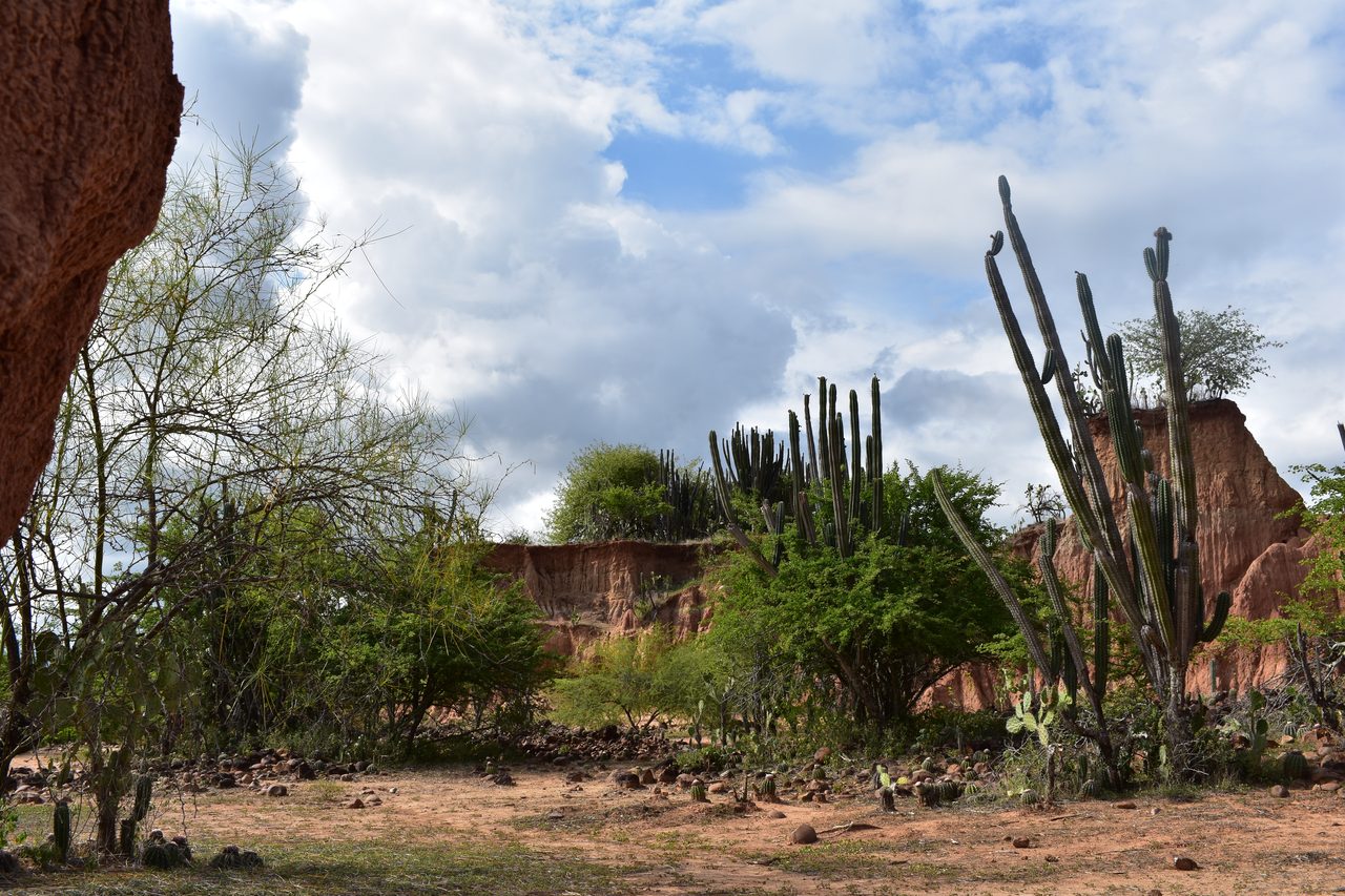 Sleeping in a Hammock in the Tatacoa Desert, Colombia