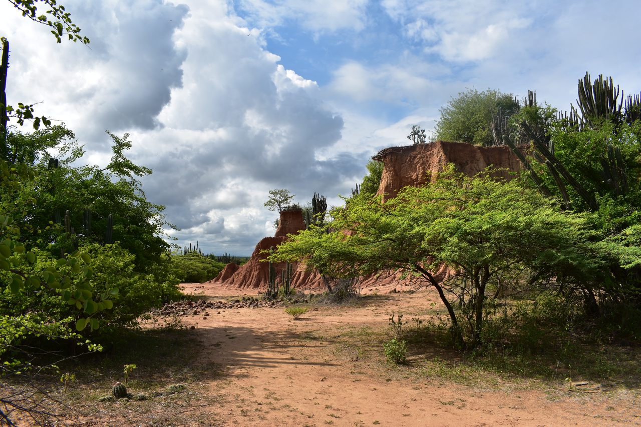 Sleeping in a Hammock in the Tatacoa Desert, Colombia