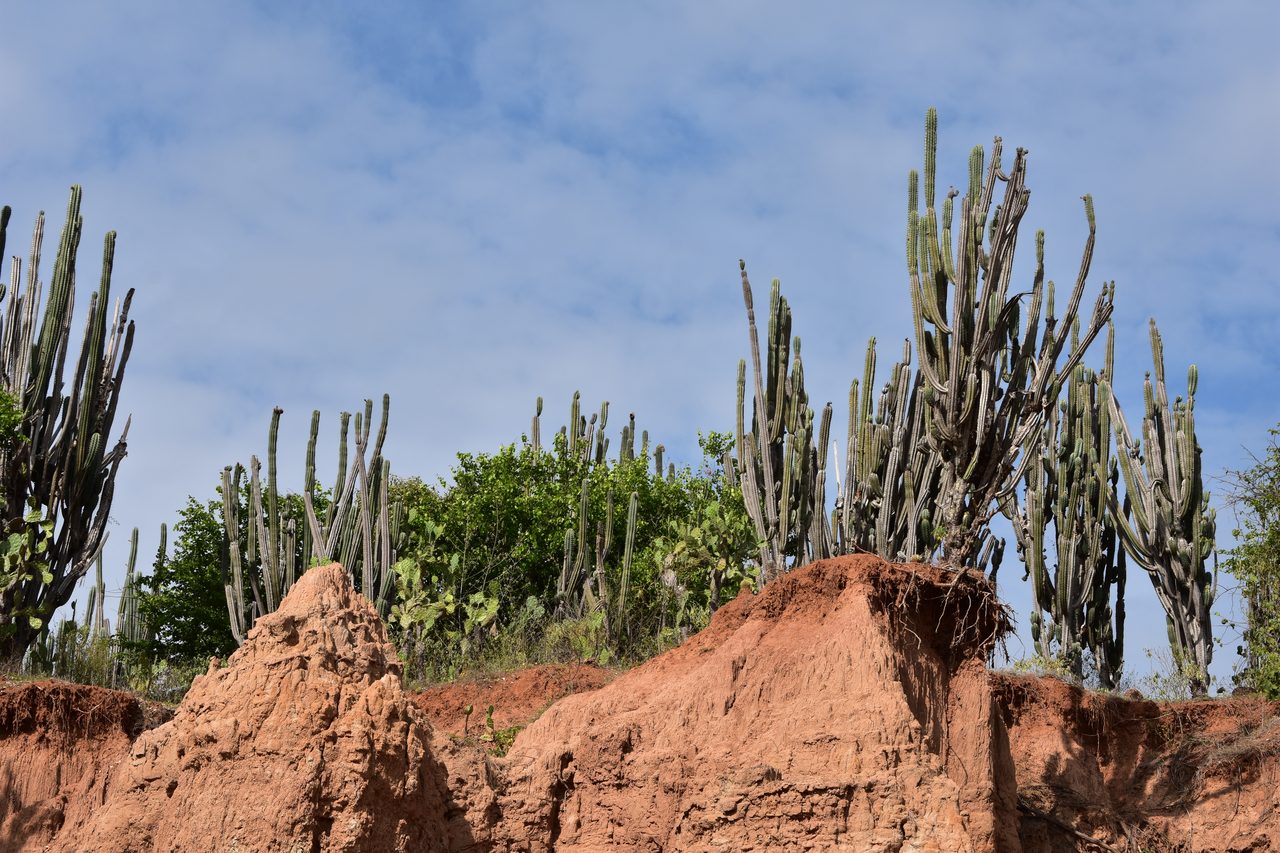 Sleeping in a Hammock in the Tatacoa Desert, Colombia