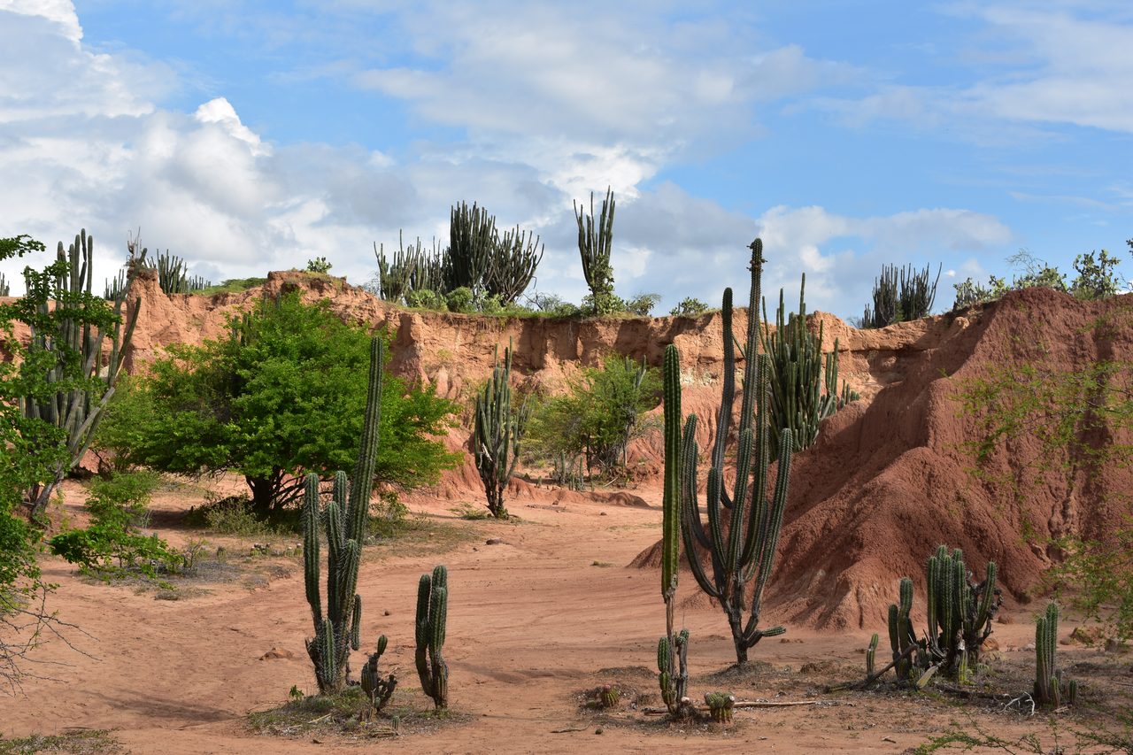 Sleeping in a Hammock in the Tatacoa Desert, Colombia